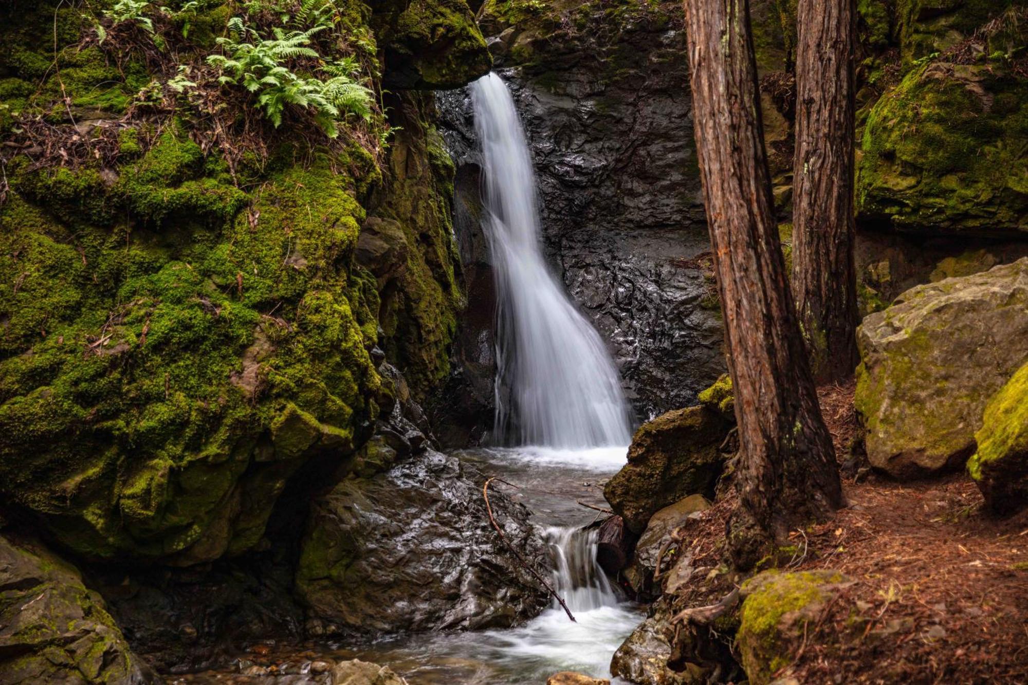 Enchanted Waterfall Sanctuary وادي ميل المظهر الخارجي الصورة